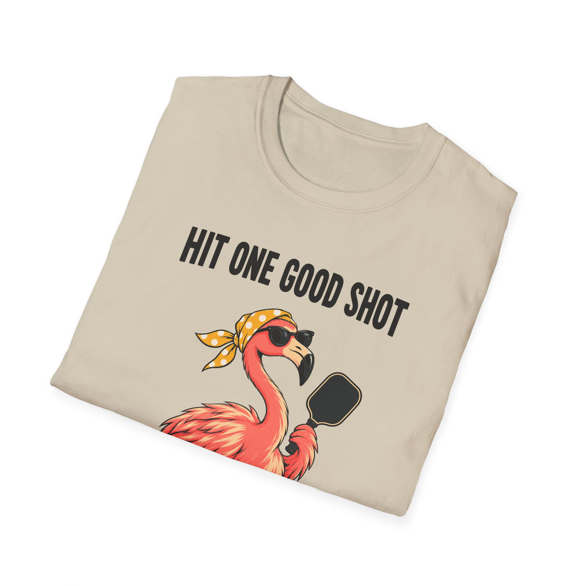 Accepting Sponsors T-Shirt