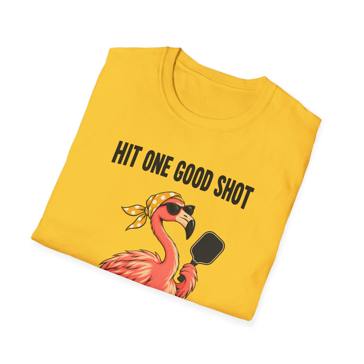 Accepting Sponsors T-Shirt